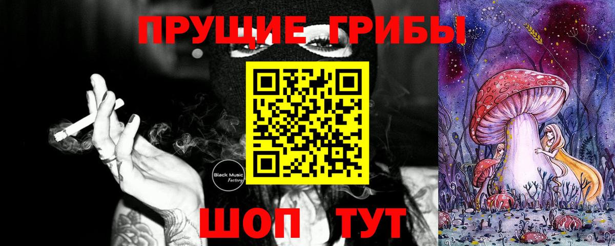 Галлюциногенные грибы Psilocybine cubensis Владимир