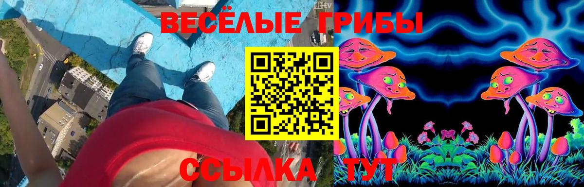 Галлюциногенные грибы ЛСД  Вход с VPN  продажа наркотиков  Владимир  Псилоцибиновые грибы ЛСД 